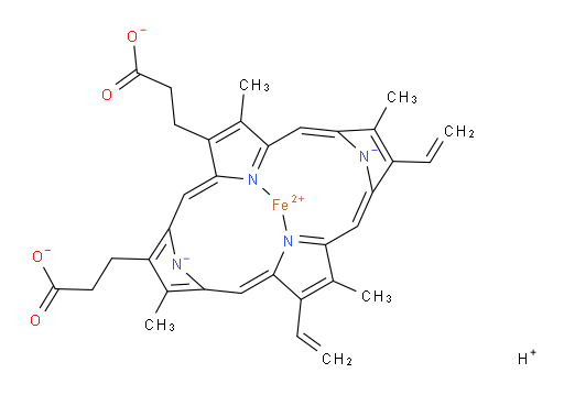 Heme