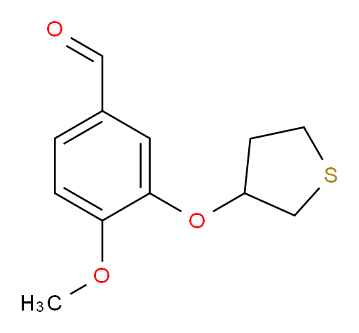 4-methoxy-3-((tetrahydrothiophen-3-yl)oxy)benzaldehyde