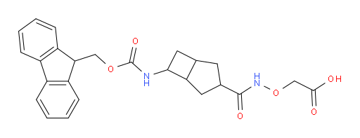 2-({[6-({[(9H-fluoren-9-yl)methoxy]carbonyl}amino)bicyclo[3.2.0]heptan-3-yl]formamido}oxy)acetic acid