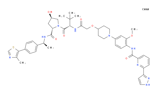 JNJ 1013