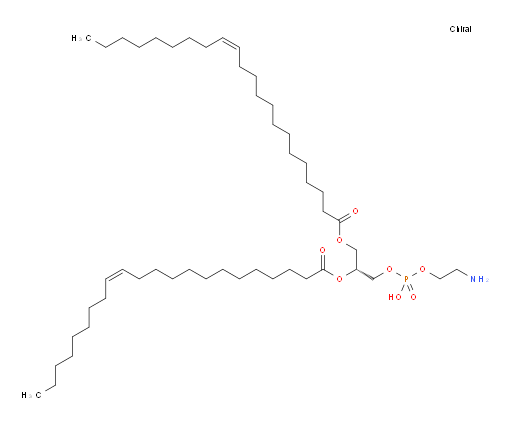 1,2-Di(cis-13-docosenoyl)-sn-glycero-3-phosphoethanolamine